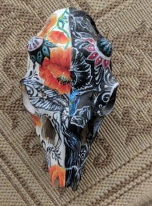 The Flip Side Hummingbird and Poppy on Deer Skull