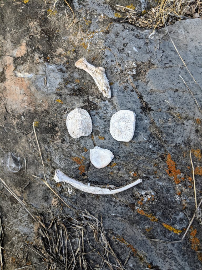 Simple Smile Bones Sculpture by Juni-Jen