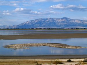 THe Great Salt Lake