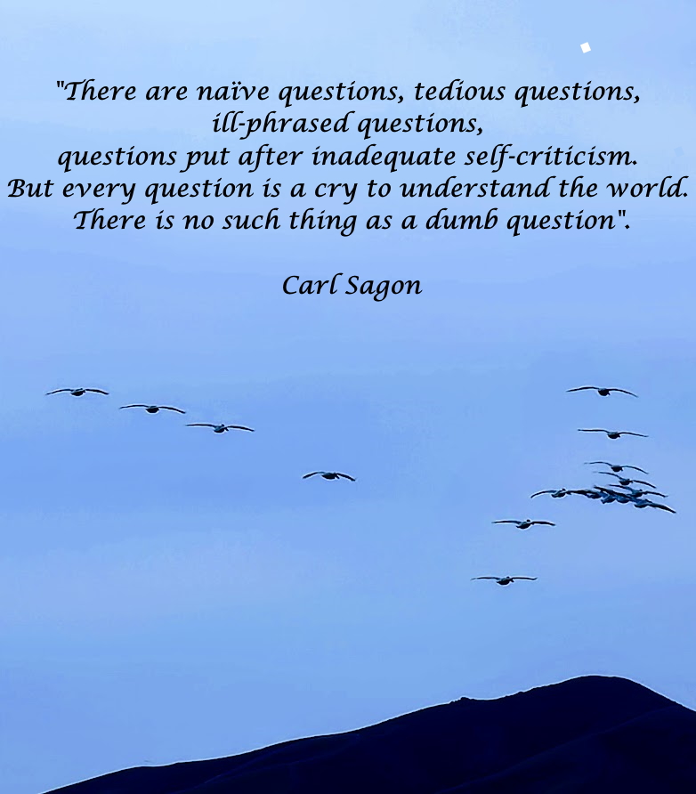 Carl Sagon Questions