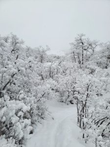 Winter in Utah