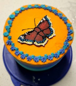 Mourning Cloak Cake