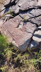 Glyphs at Smith Anderson Preserve by Utah Lake