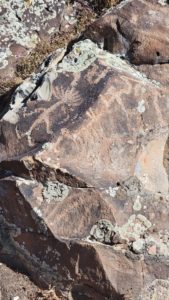 Glyphs at Smith Anderson Preserve by Utah Lake