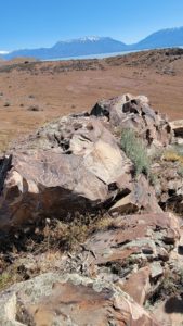 Glyphs at Smith Anderson Preserve by Utah Lake