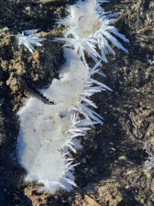 Hoar Frost at Utah Lake