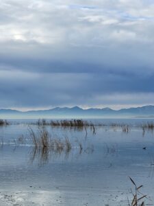 Utah Lake in December