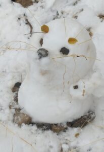 Snow seal by Juni and Sienna